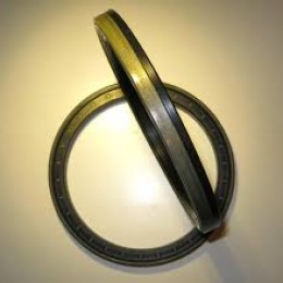 МАНЖЕТА 48*65*16,5 (КАССЕТНОЕ УПЛОТНЕНИЕ)(COMBI SF6)